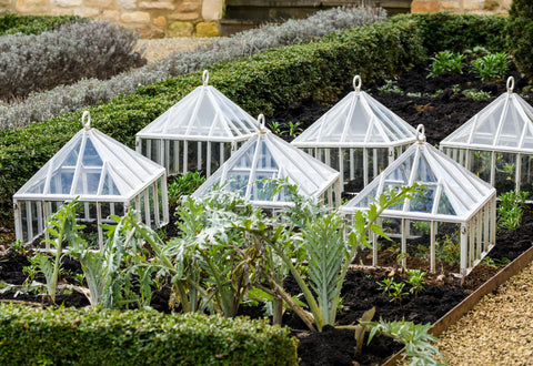 Traditional Victorian Garden Claverton Cloche