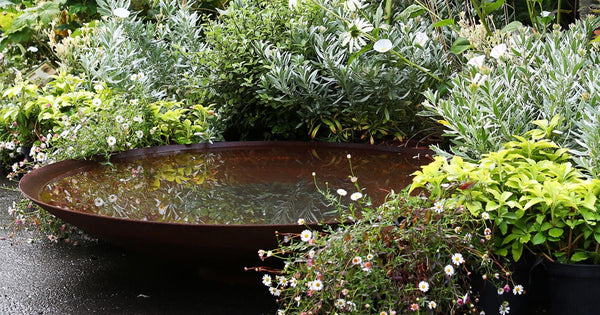 Shaded Water Feature To Reduce Algae | Cleaning Water Features