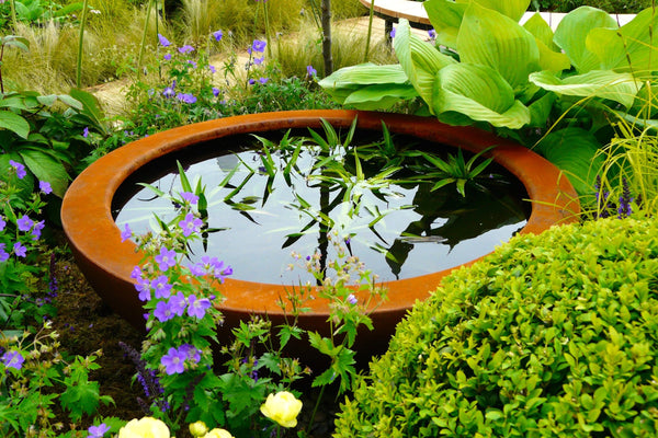 Water Plants Added To Feature To Reduce Algae | Keeping Water Feature Clean