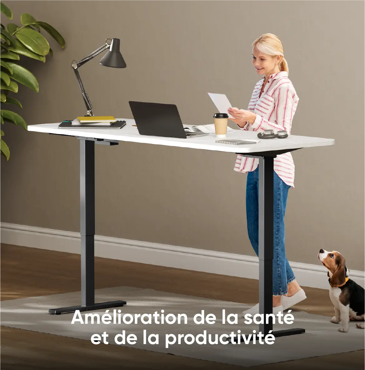 Amélioration de la santé et de la productivité