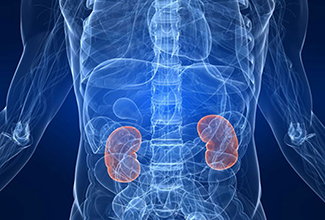 Kidney X-Ray visualization from CDC