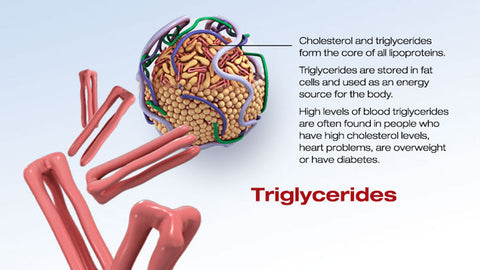 Triglycerides visualization from Health Jade