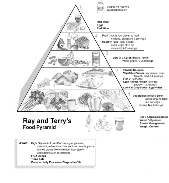 TRANSCEND recommended food pyramid