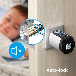 WIFI  Keypad  Door Smart Lock - WELOCK PCB H21 US