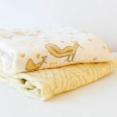 BE COZY BLANKET SUNBEAM PACK