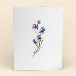 Assorted Botanical Plantable Cards - 8 Pack