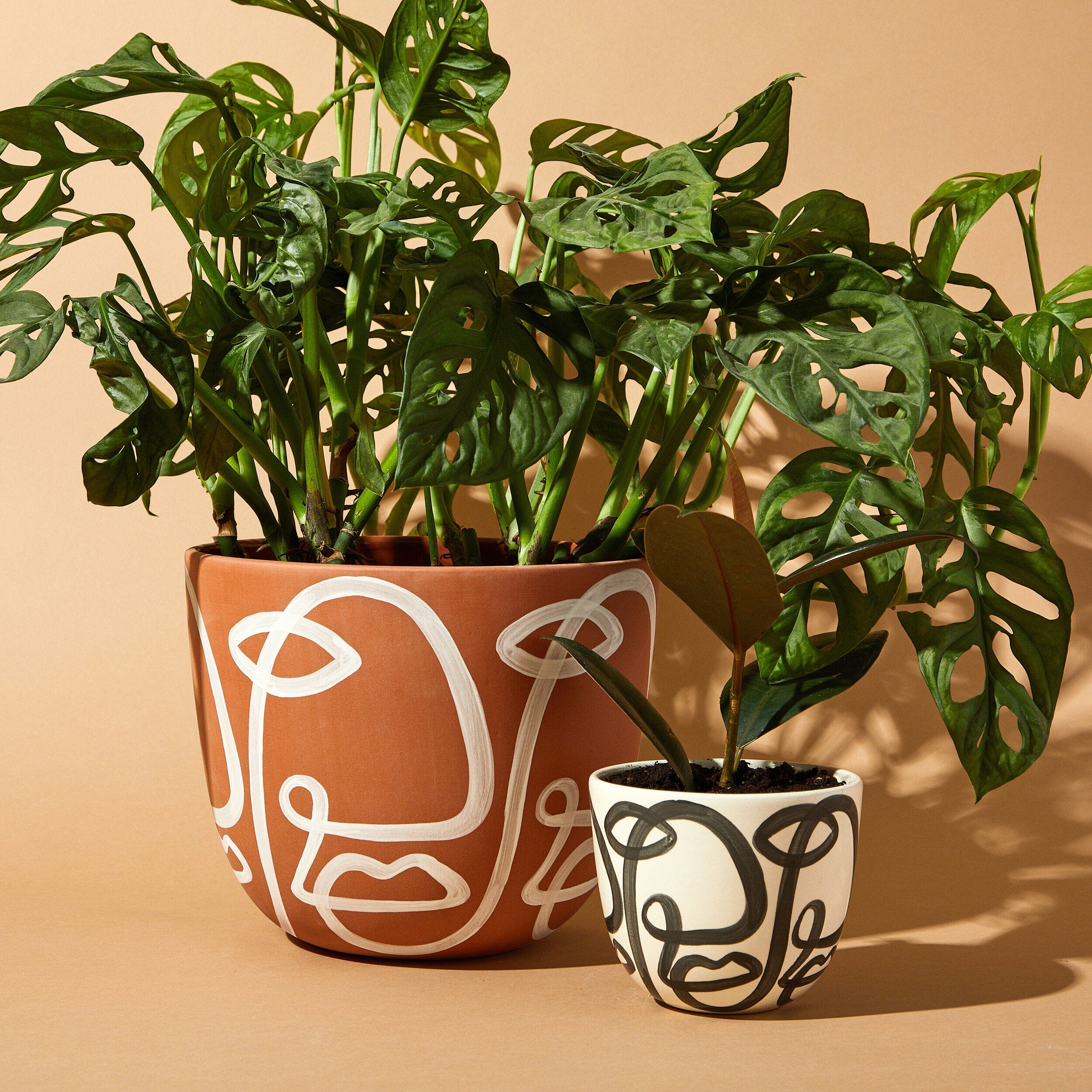 Cara Planters