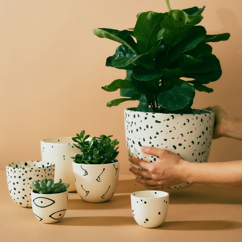 Dot Planters