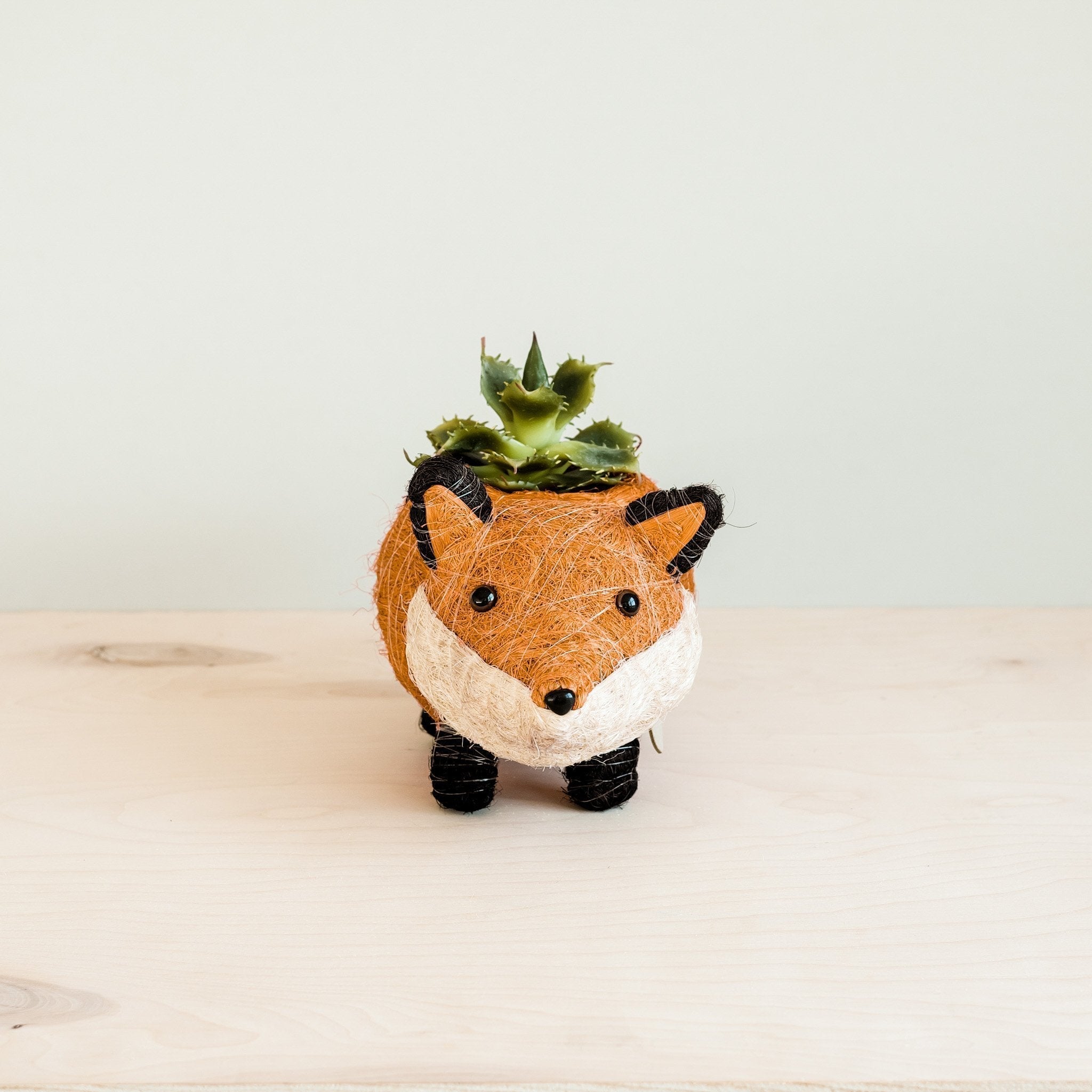 Fox Planter