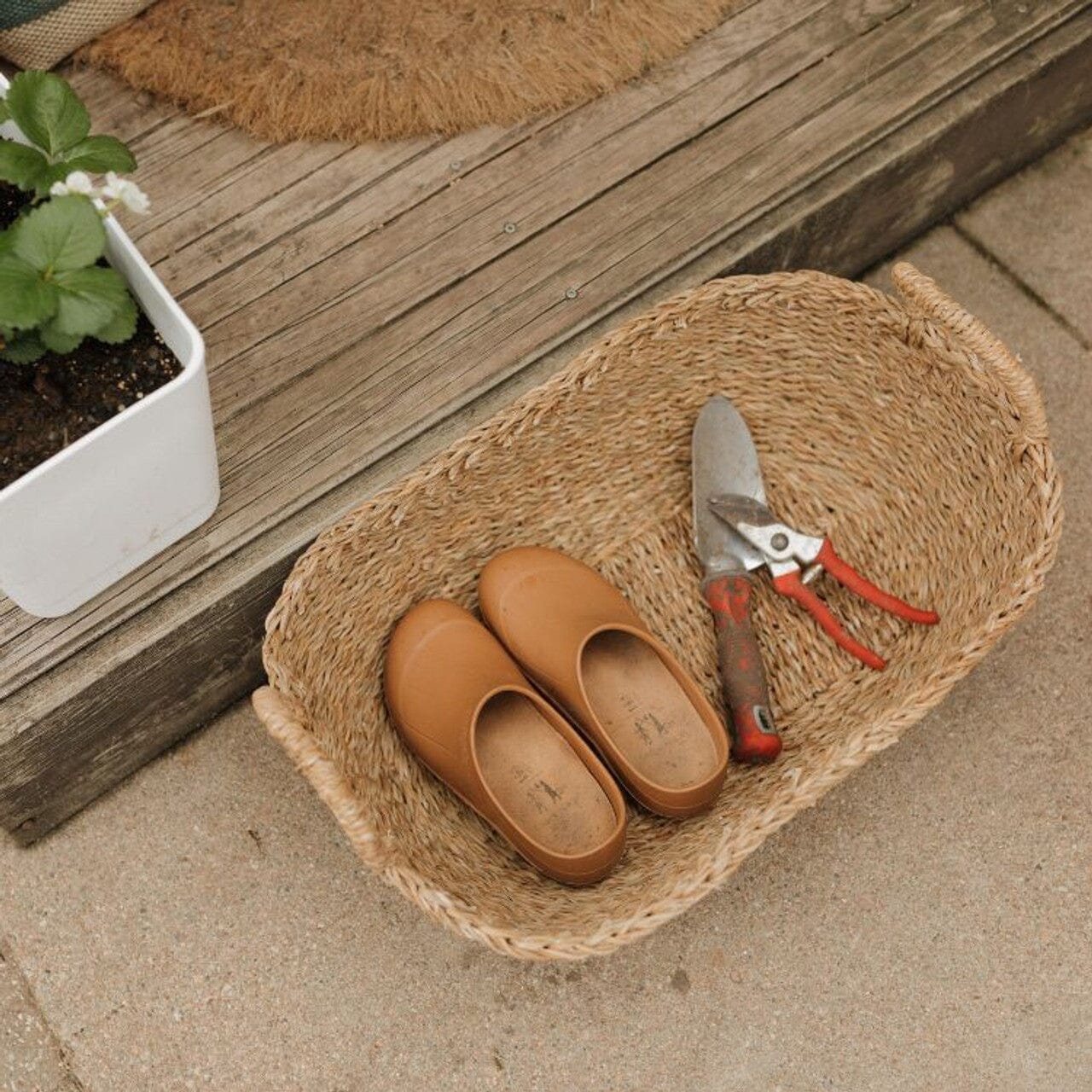 Harvest Oval Tray Baskets