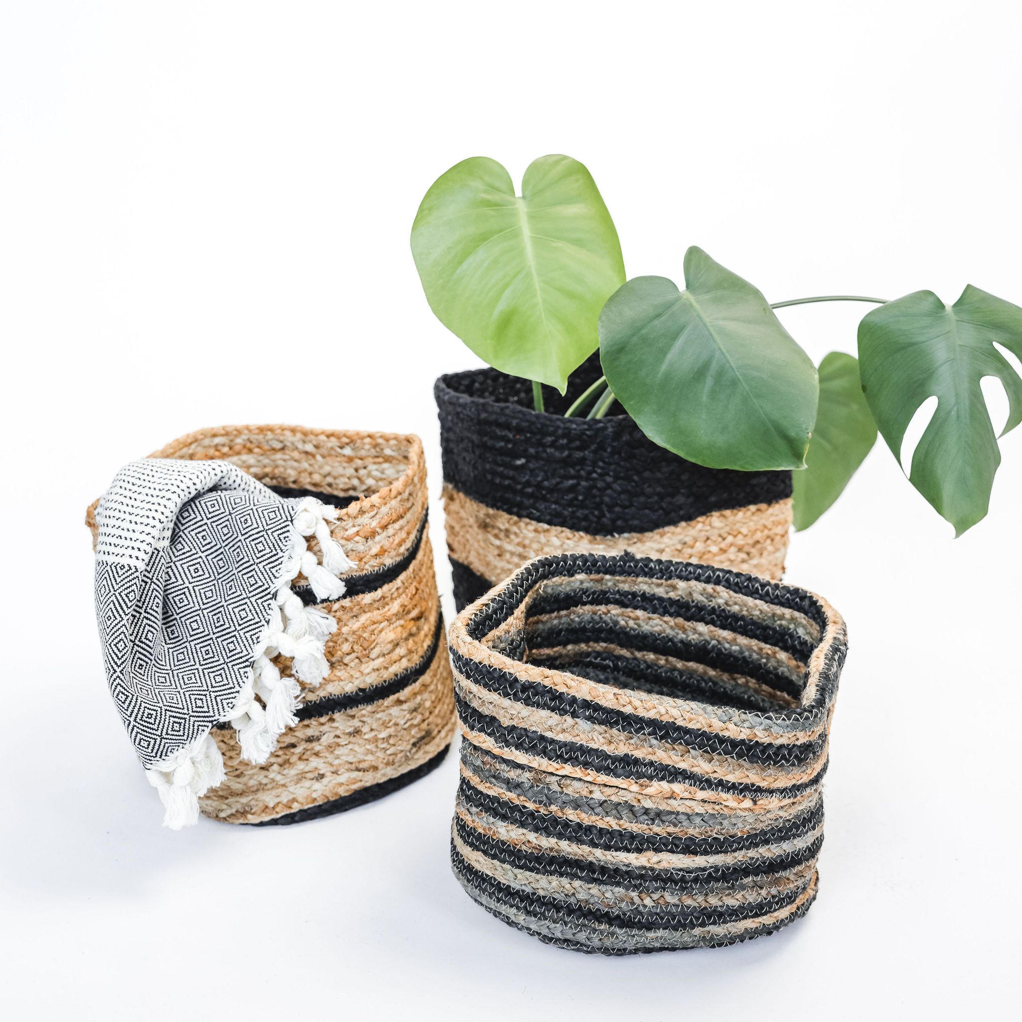 Jute Planter