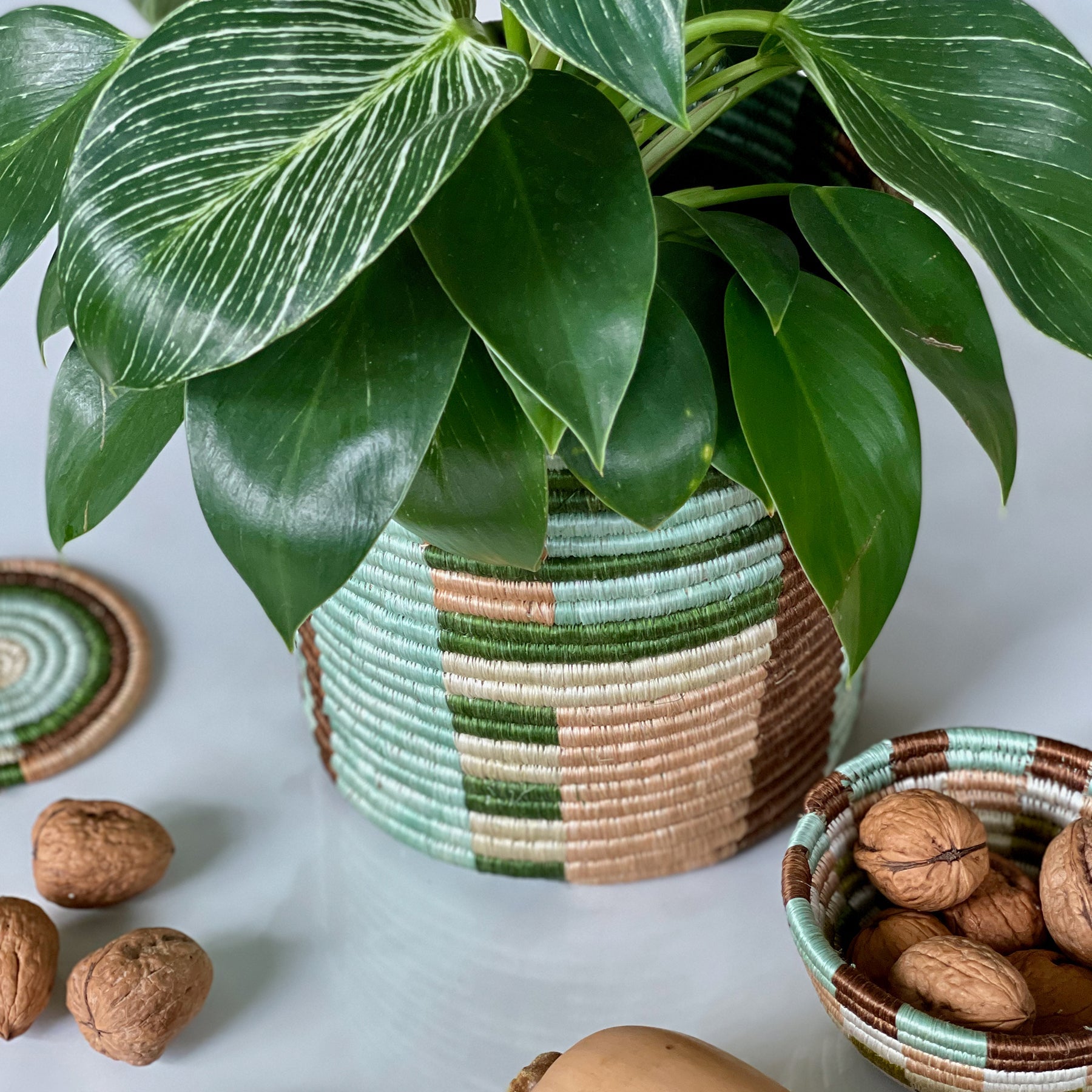 Medium Apricot and Seafoam Lines Planter