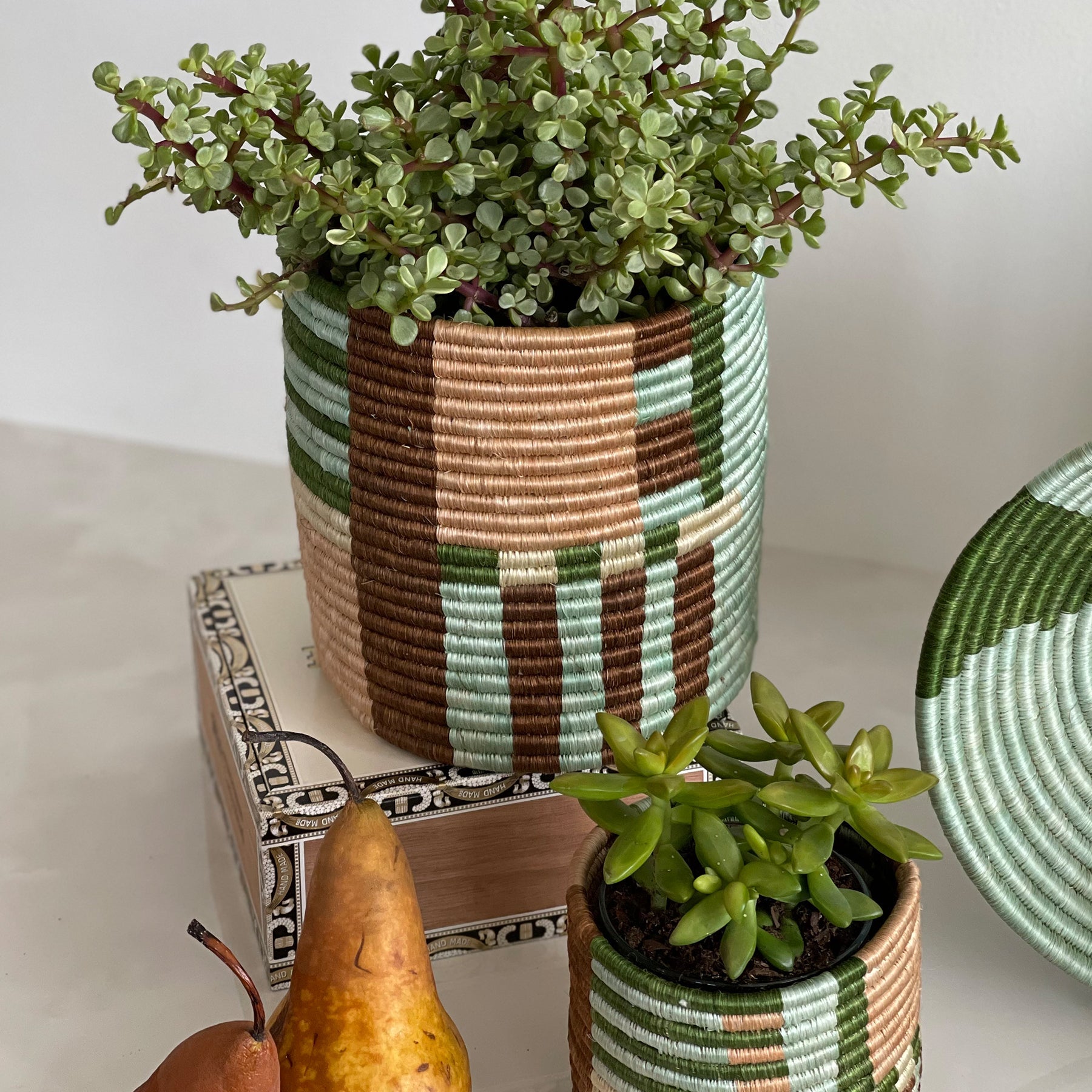 Medium Apricot and Seafoam Lines Planter