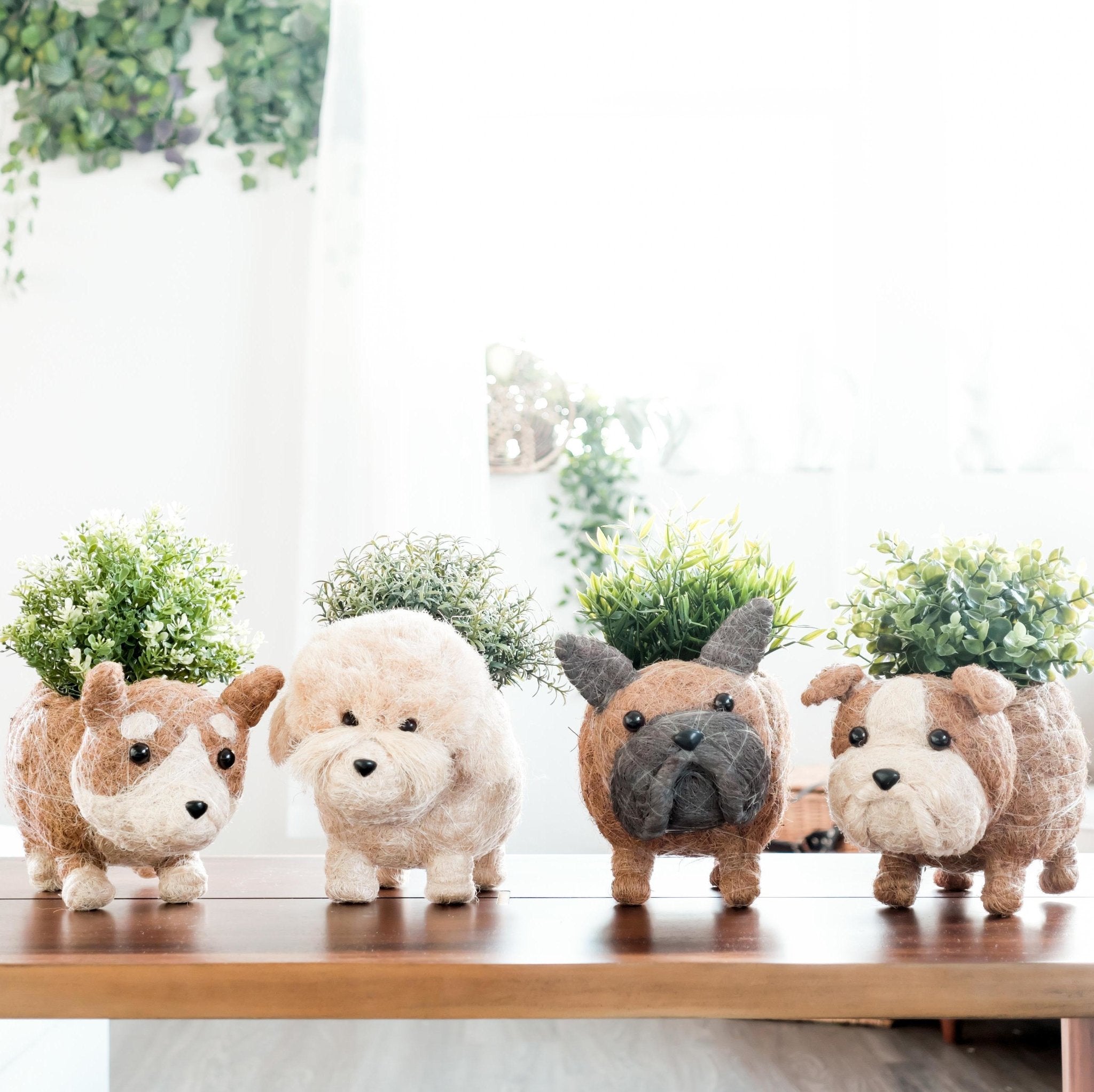 English Bulldog Planter