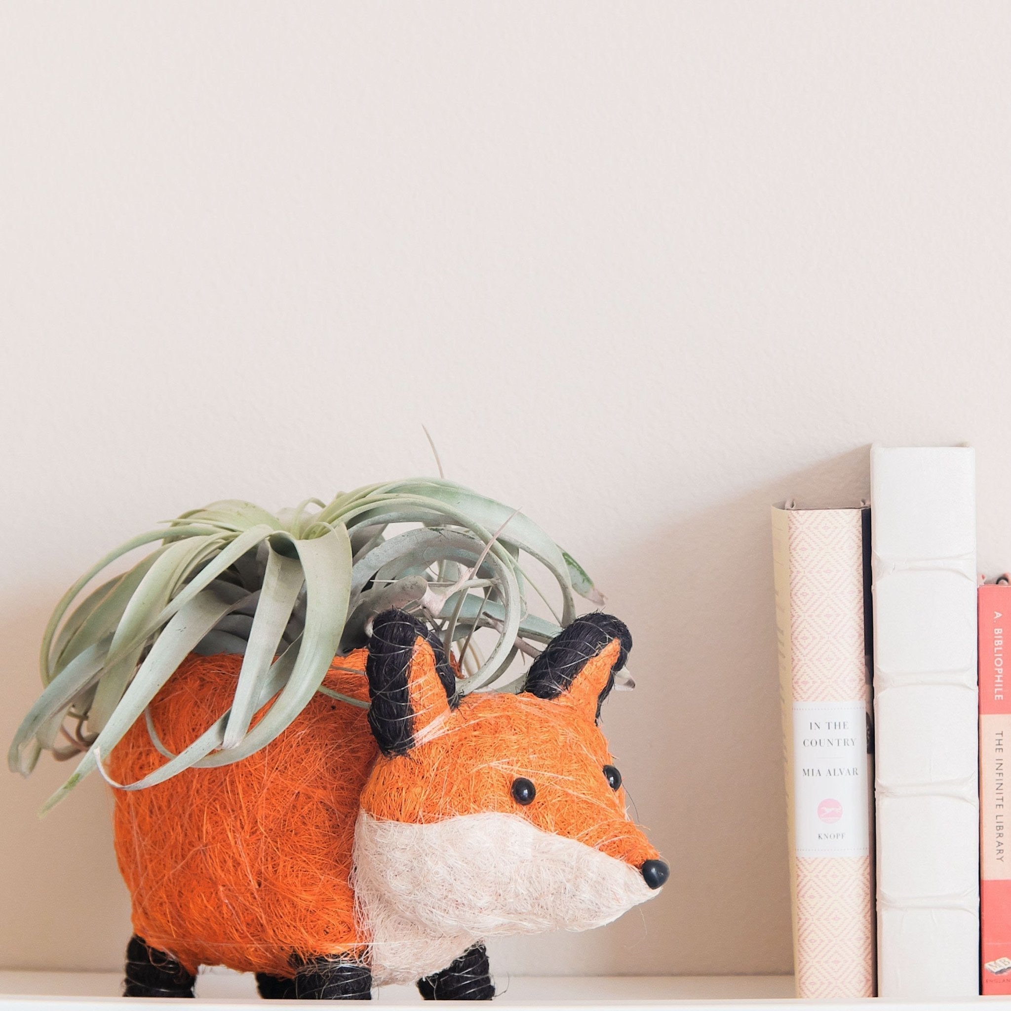 Fox Planter