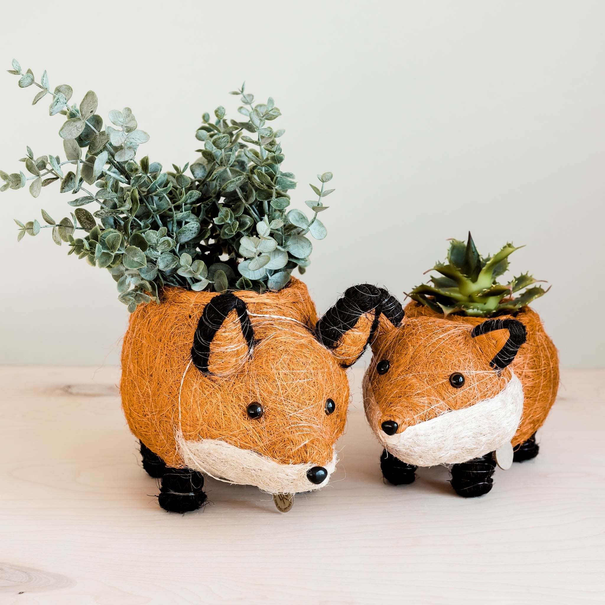 Fox Planter