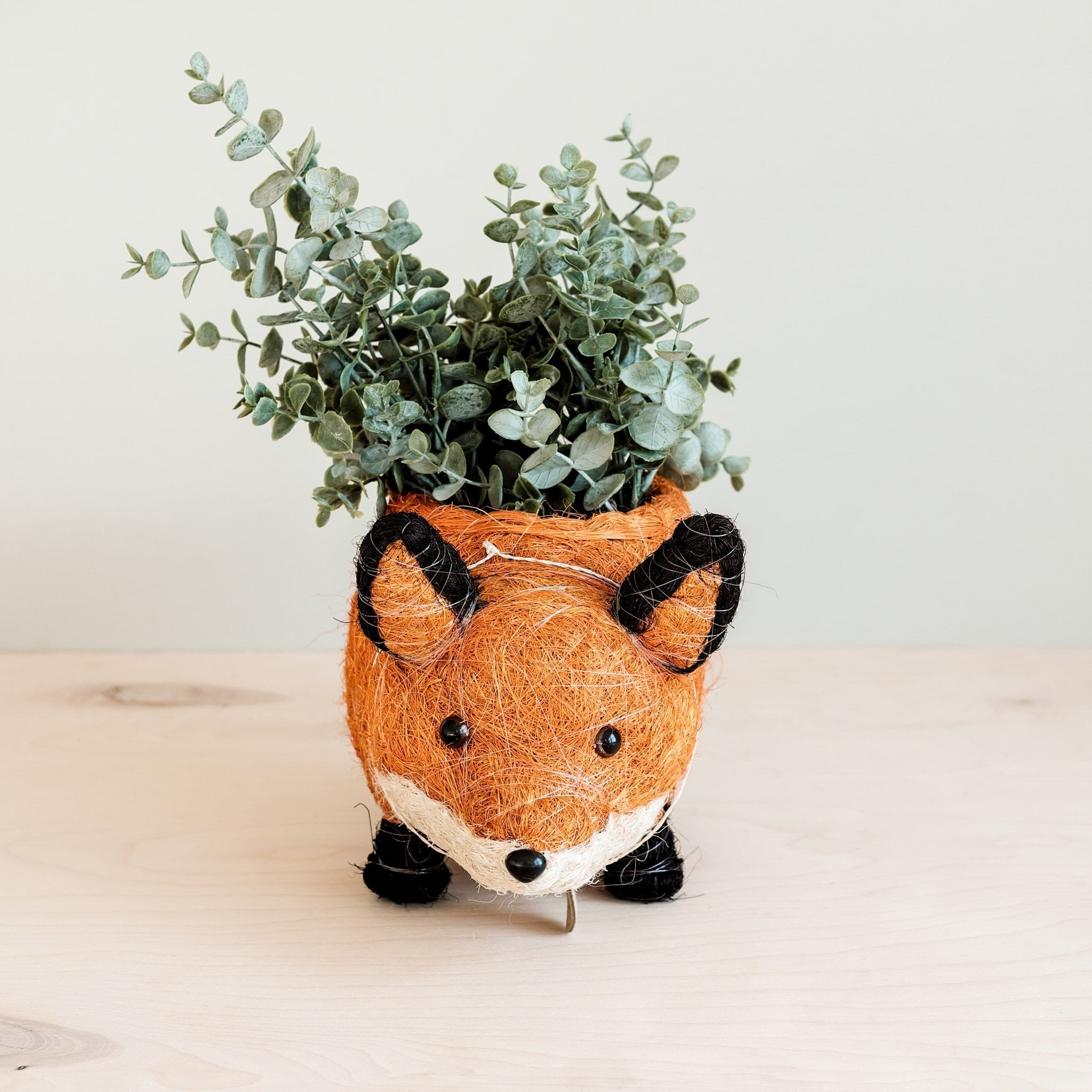 Fox Planter