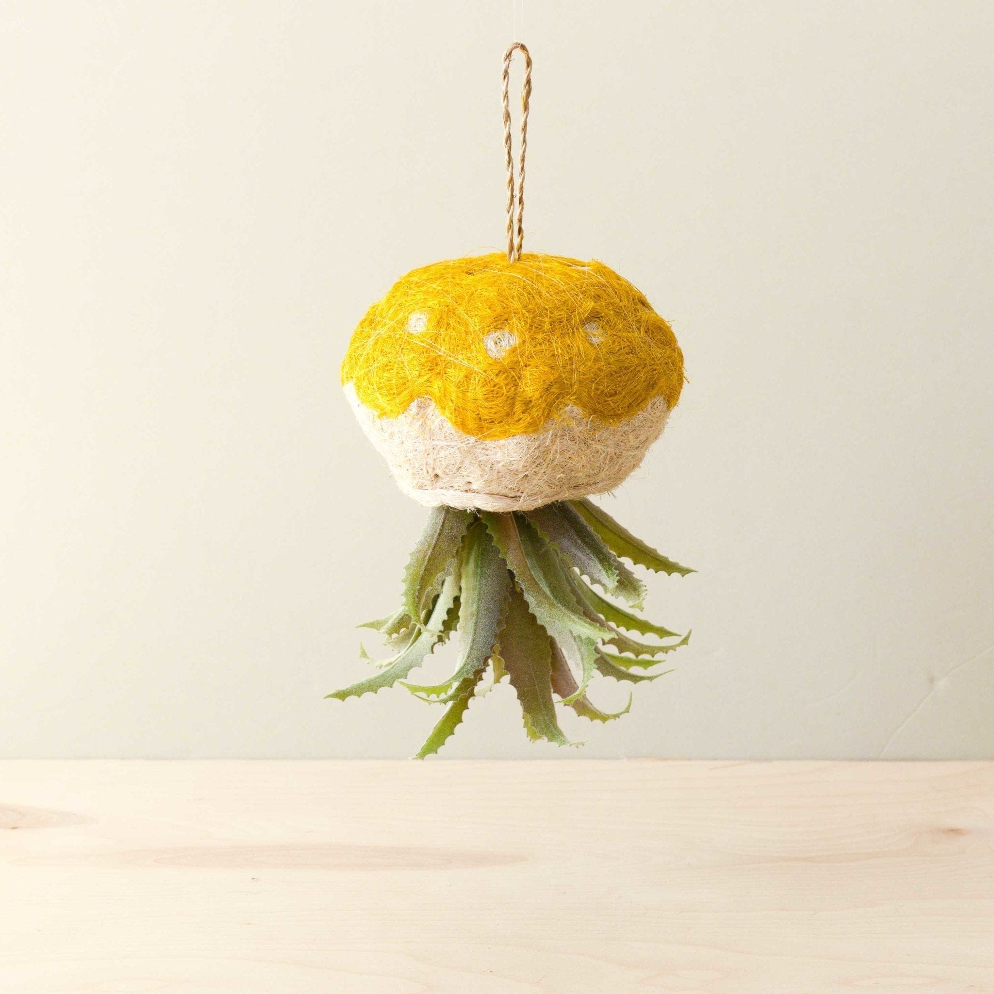 Jellyfish Hanging Air Planter