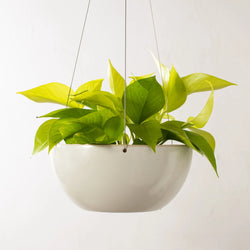 Minimal Stoneware Hanging Planter Hanging Planters Convivial No. 2 