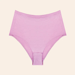 Seacell Full Coverage Brief - Berry Underwear Esme Small 