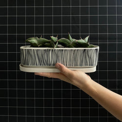 Stria Porcelain Planter Planters Lauren HB Studio Line 1 