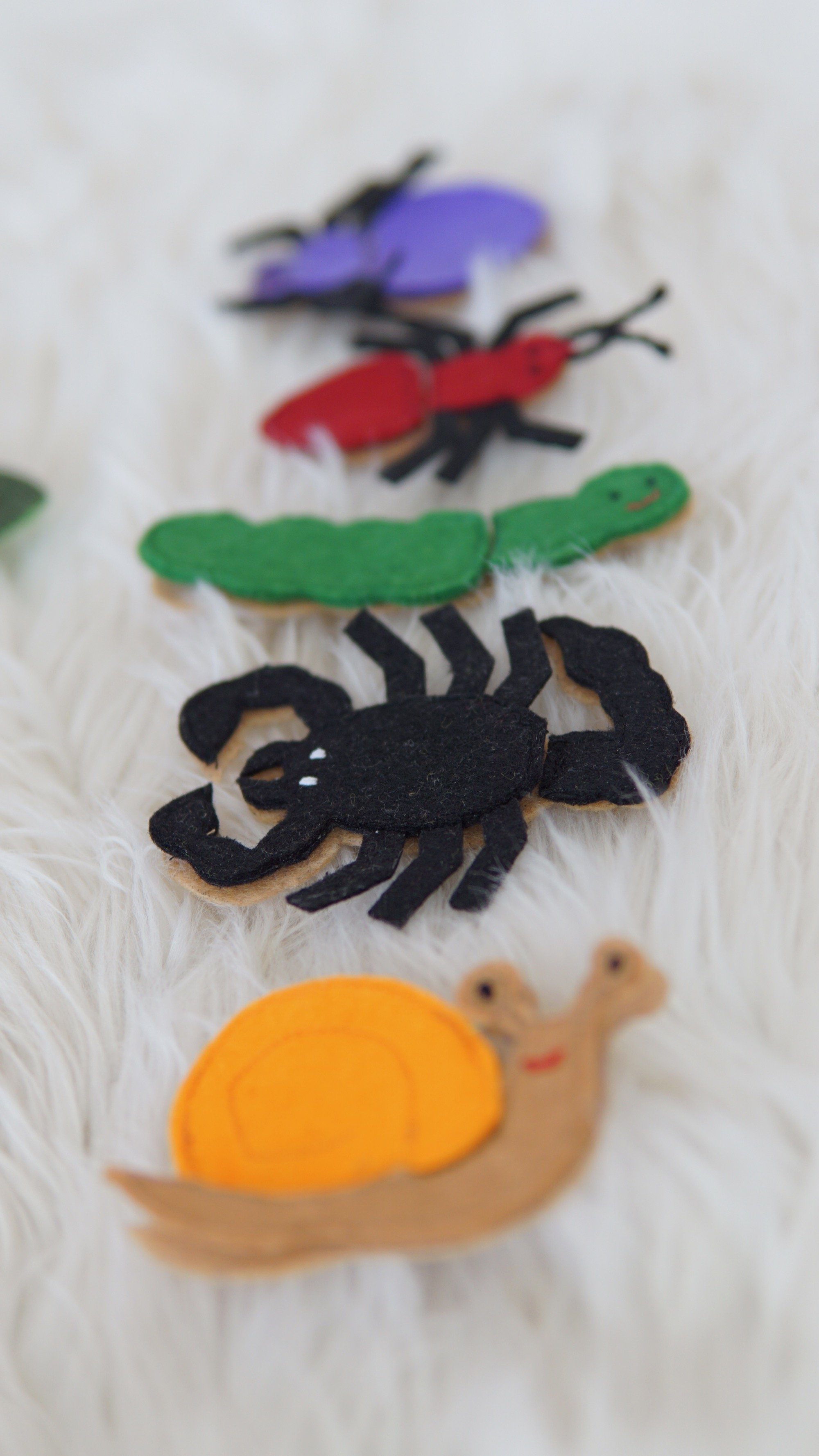 Crawling Bugs Assembly Kit