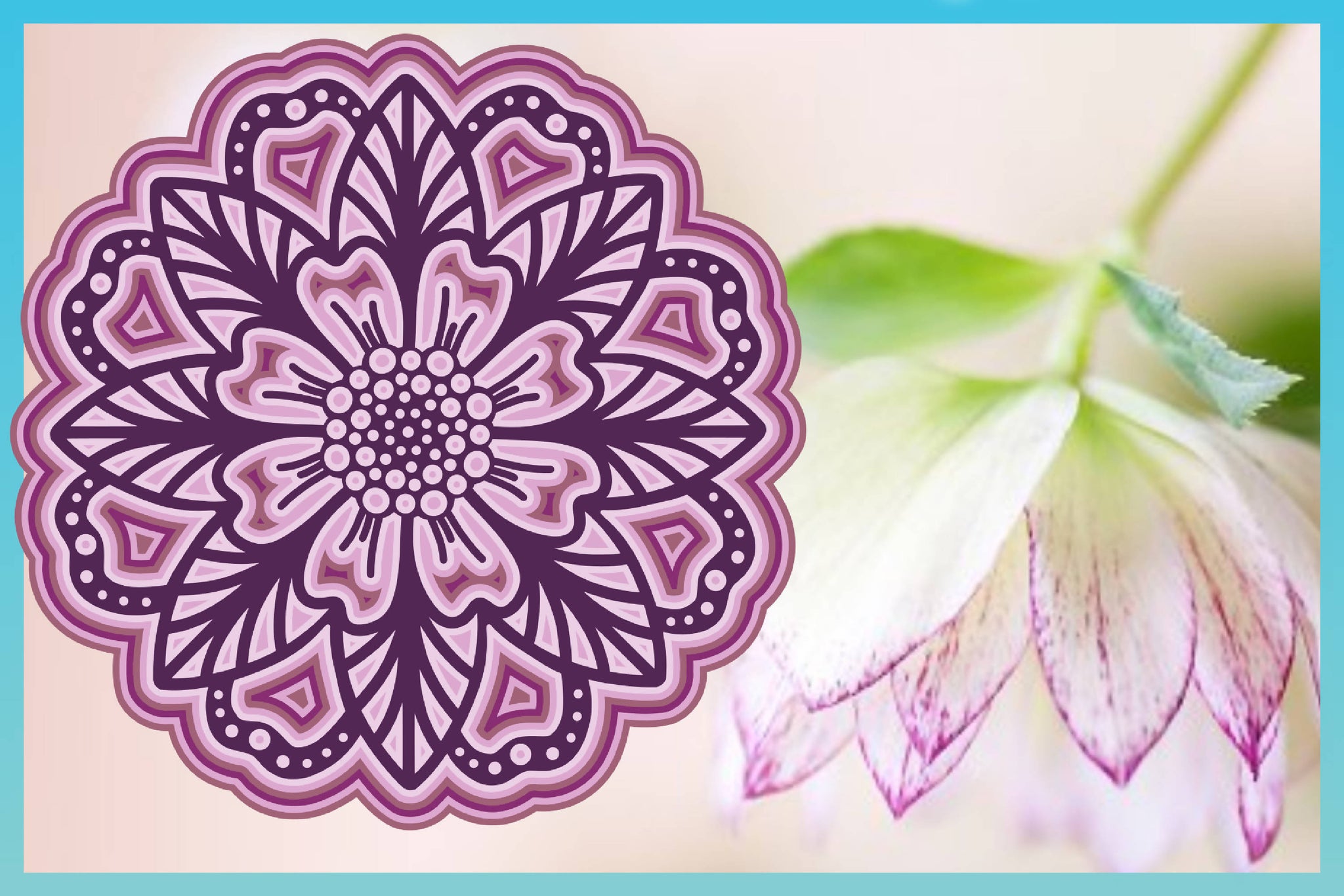 Free Free 64 3D Layered Mandala Tutorial SVG PNG EPS DXF File