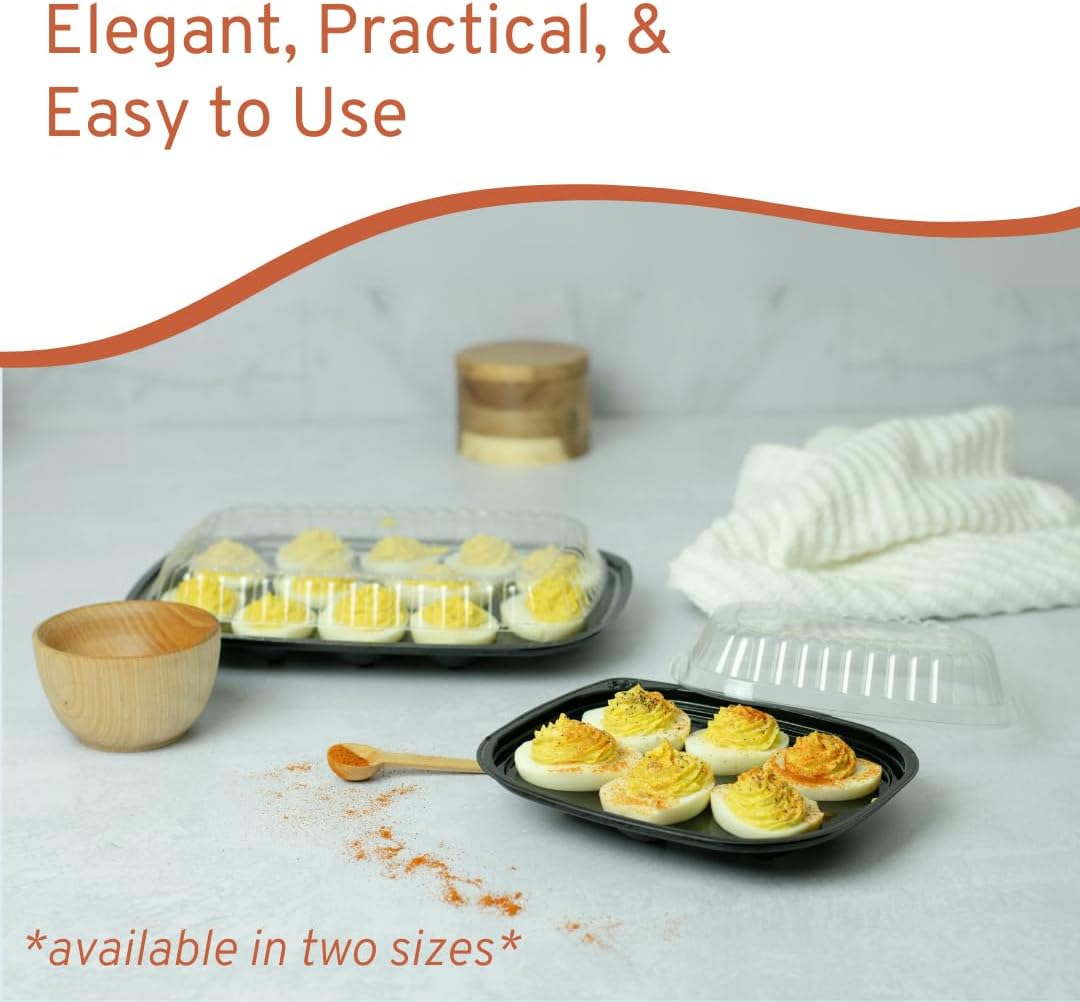 egg storage container