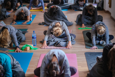 Yoga Classes – Kaitlyn Sears Yoga