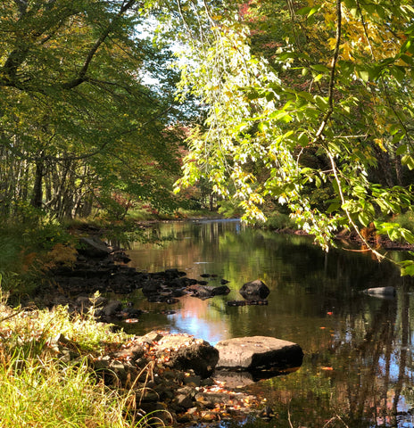 small river in fall