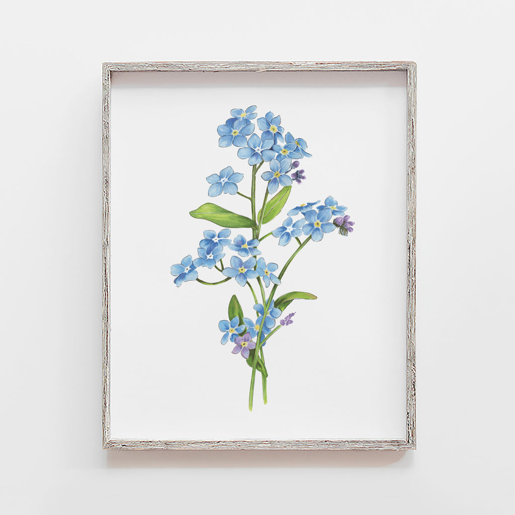 Forget Me Not Flower Art Print | JesMarried