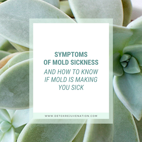 Symptoms OF MOLD SICKNESS and how to know if mold is making you sick