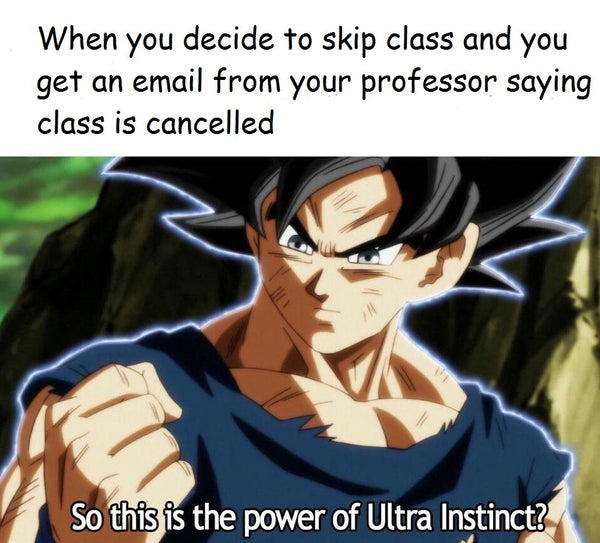 Best Anime Memes Animeshirtclub