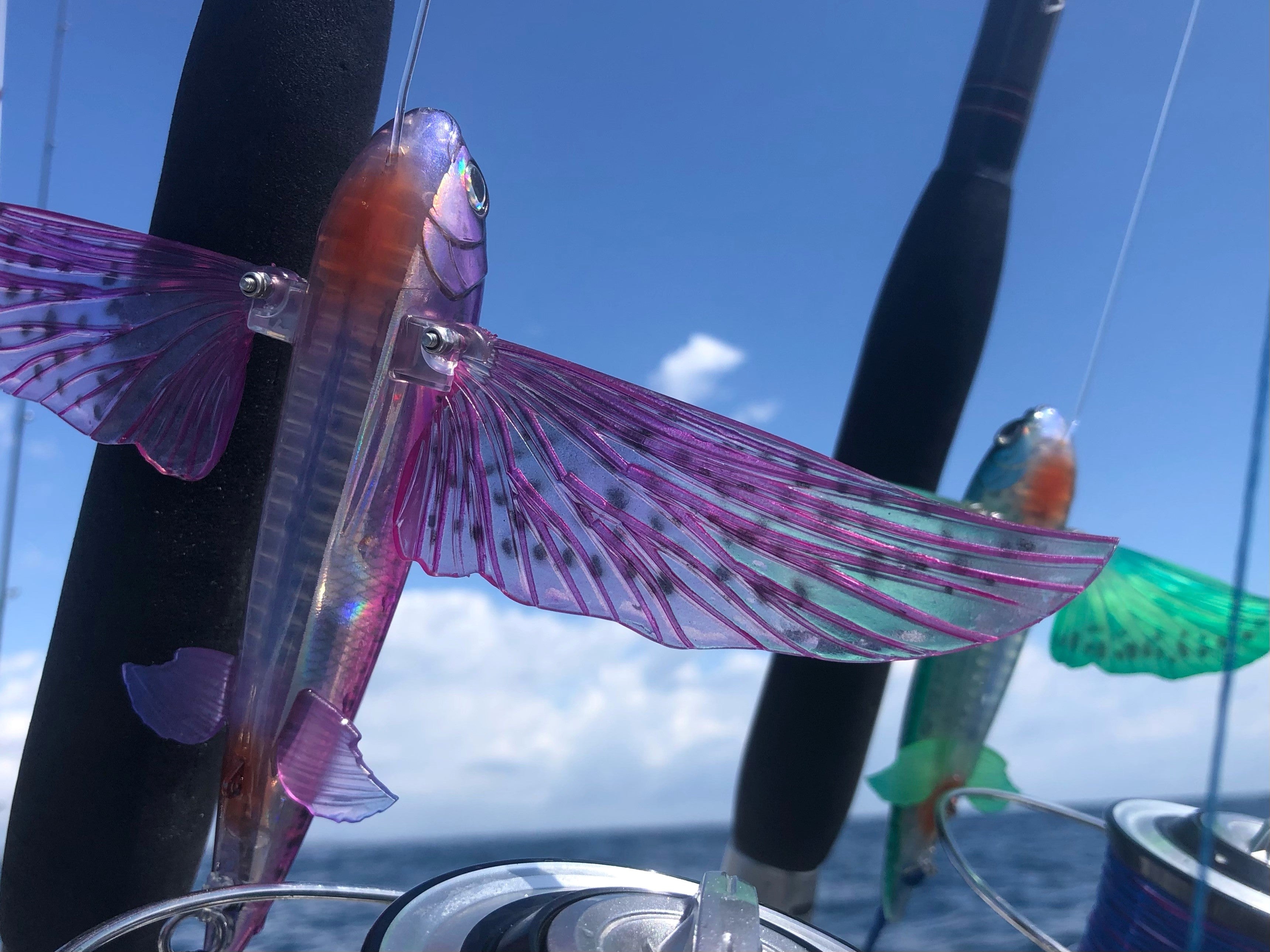 Nomad Slipstream Flying Fish 11 Electric – Bill Buckland's