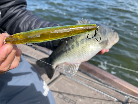 Oliver Ngy Brings Nomad & Big Bass Dreams To Texas – Nomad Tackle
