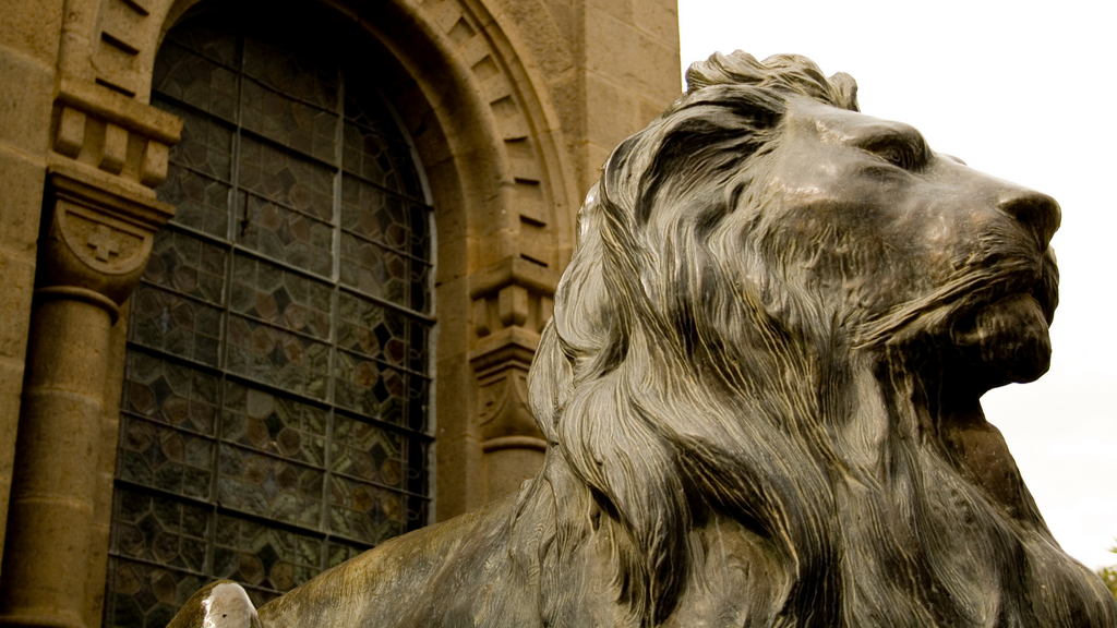 lion of Judah, the symbolic animal in Judaism