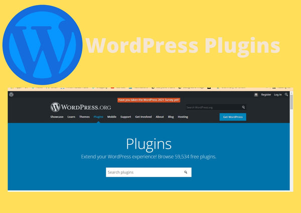 WordPress Plugin for structured data implementation