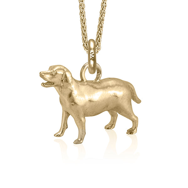 Retriever