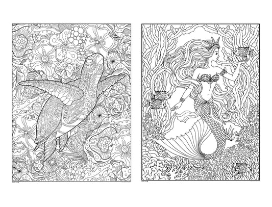 Set of 2 Giant Coloring Posters - Turtle and Dolphin Wall Coloring Poster  for Kids & Adults 