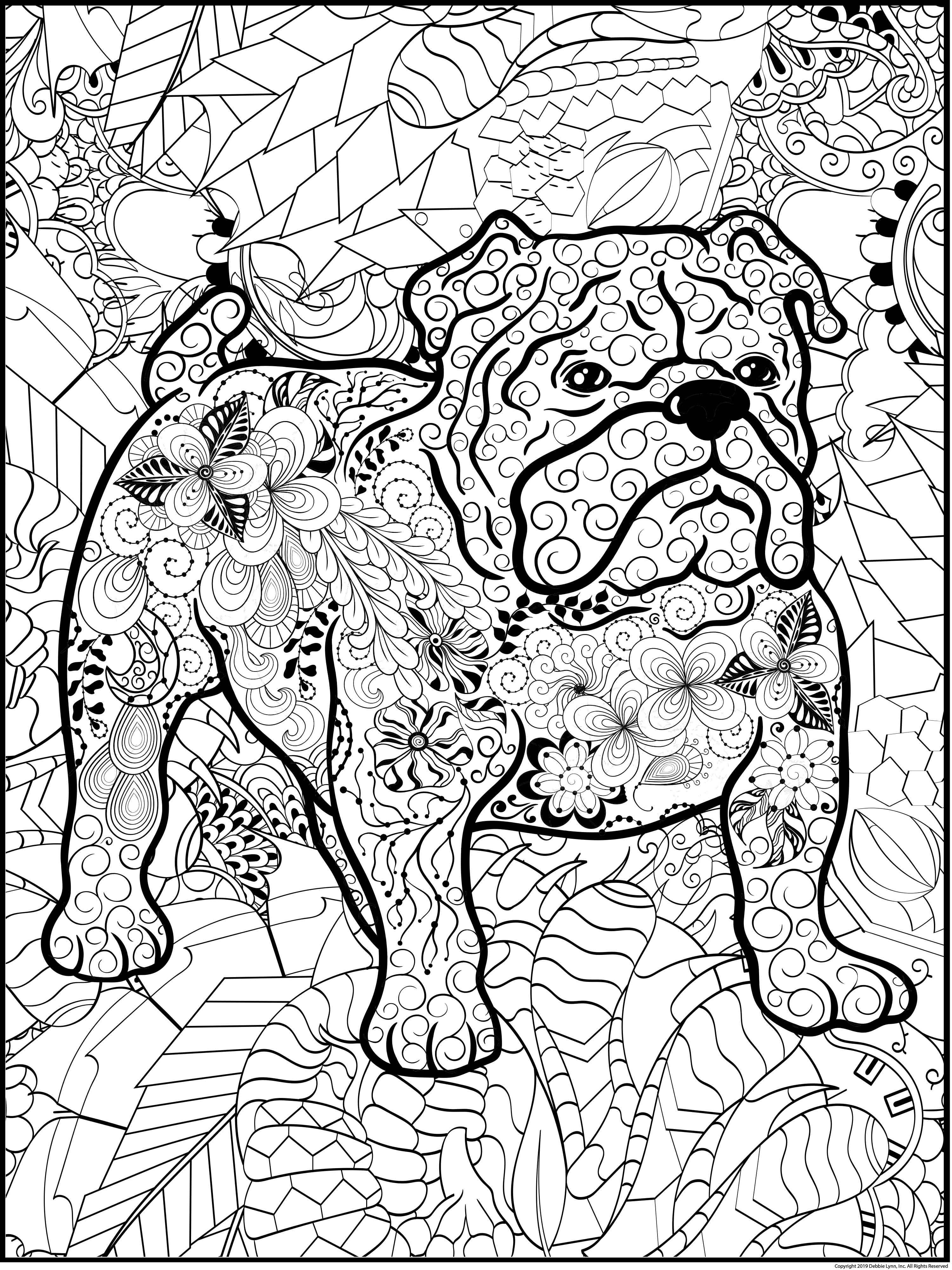 DEBBIE LYNN - The Original Jumbo Coloring Poster. Huge 48” x 63” Format,  The Biggest on The Market! Choose from 16 Great Designs Made for All Ages.