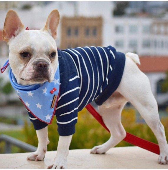 red white and blue dog bandana