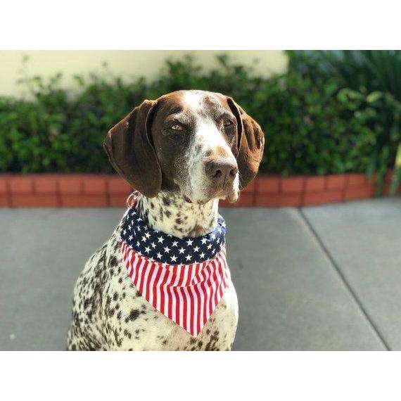 red white and blue dog bandana