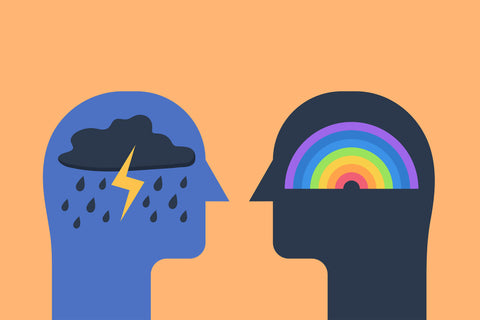 2 heads, one black and one blue, face one another. In the blue head is an illustation of a storm with black clouds, rain and a lightening bolt. In the black head is a rainbow. Both are on an orange background.