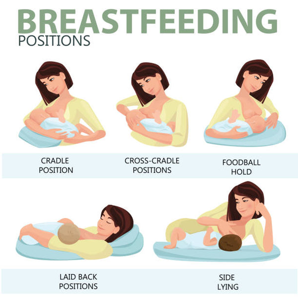 Different breastfeeding positions include cradle, cross-cradle, foodball, laid back and side lying positions