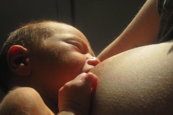 A baby drinking breast milk, a rich source of important immunities that support the baby's immune system