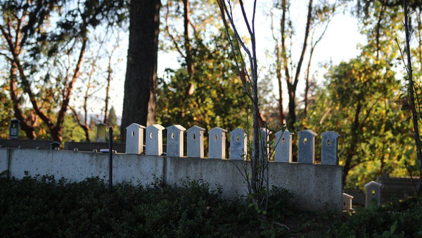 A garden built for helping to heal the pain of pregnancy loss