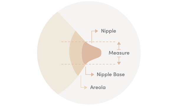 Legendairy Milk Nipple Ruler (Measure Flange Size) –
