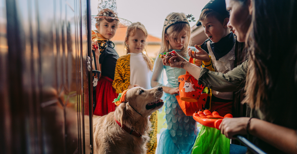 kids trick or treating