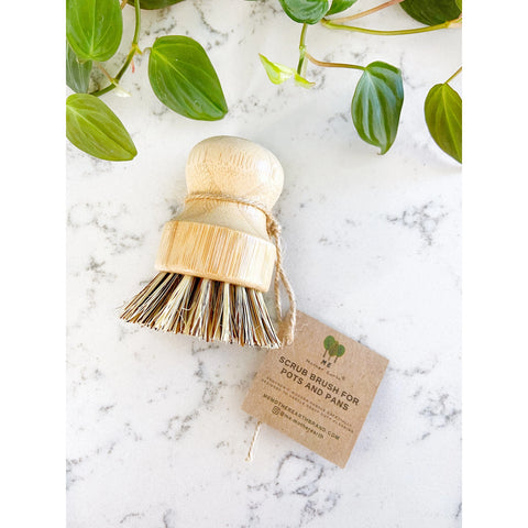 Pan Scrubber