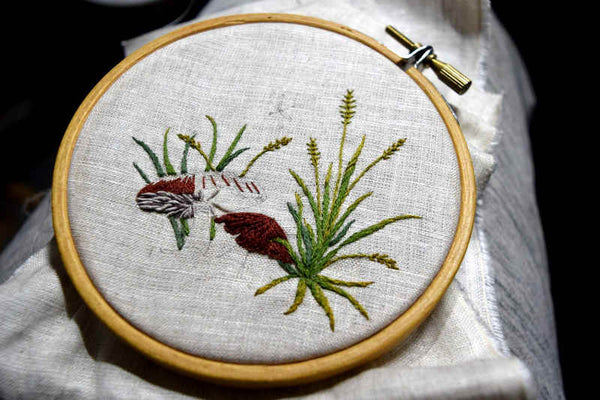 Embroidery hoop with design of mushrooms and grass partially worked; grass is browning at tips and mushroom caps are burgundy